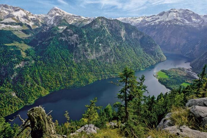 Erforschung von Artenvielfalt und Klimawandel in den Alpen