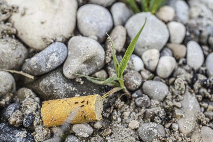 24h-CleanUp-Marathon in München