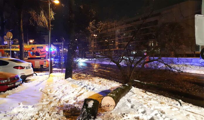 Baum lehnt in Stromleitung Baum lehnt in Stromleitung