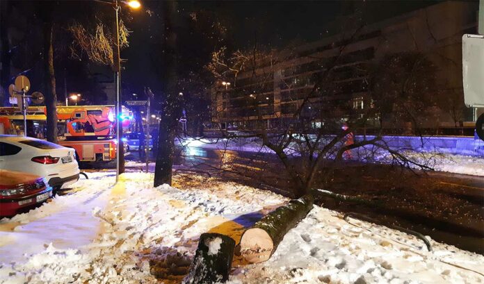 Baum lehnt in Stromleitung