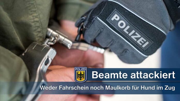 Hauptbahnhof: 36-Jähriger greift Beamte an Hauptbahnhof: 36-Jähriger greift Beamte an