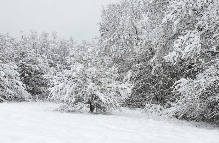 Winter macht jetzt richtig Ernst - Eisige Aussichten: Bis minus 25 Grad