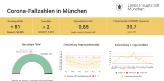 Update 20.02.: Entwicklung der Coronavirus-Fälle in München