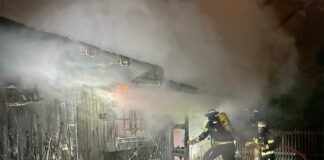 Gartenhütte durch Brand zerstört