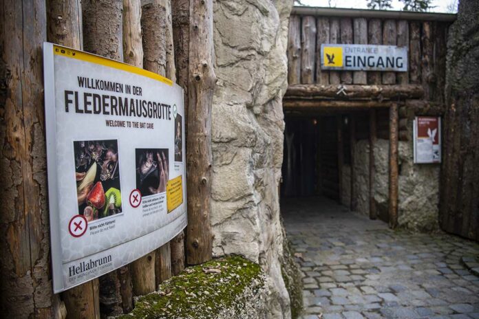 Hellabrunner Fledermausgrotte bleibt dauerhaft geschlossen Hellabrunner Fledermausgrotte bleibt dauerhaft geschlossen