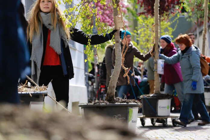 Wanderbaumallee in der Unteren Weidenstraße: Green City e.V. sucht Gießpat*innen