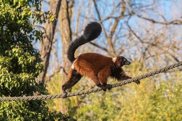 Hellabrunn ab 1. Mai wieder für Besucher geöffnet