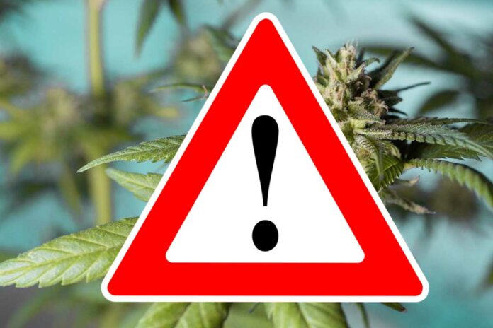 Warnung vor Cannabisprodukten mit synthetischen Cannabinoiden