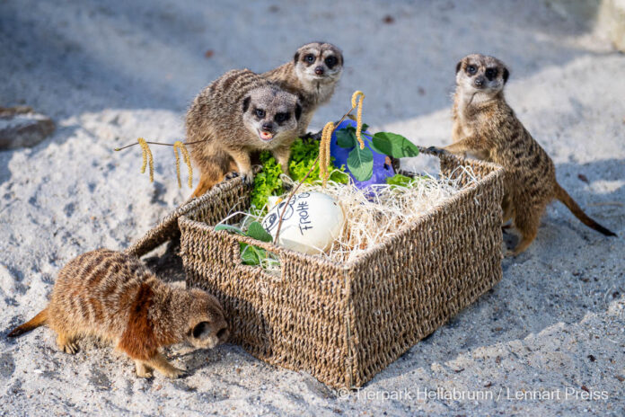 Ostergrüße aus Hellabrunn