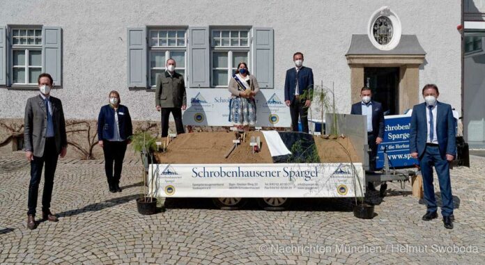 Spargelsaison 2021: Wirtschaftsminister Hubert Aiwanger sticht ersten Spargel in Schrobenhausen