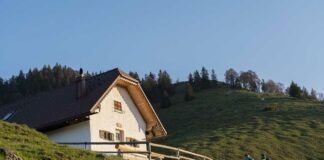 Franz Marc entdecken: Spurensuche auf dem Berg und im Tal