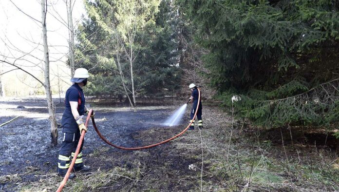 Waldperlach: Waldboden in Flammen Waldperlach: Waldboden in Flammen