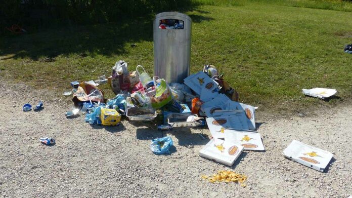 Für mehr Sauberkeit in der Stadt: Baureferat im Dauereinsatz Für mehr Sauberkeit in der Stadt: Baureferat im Dauereinsatz