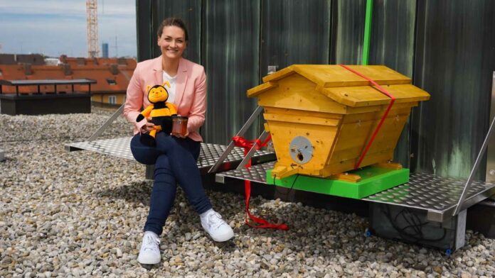 Digitalministerium erhält Hightech-Bienenstock