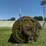Rasenverkauf 2.0 – Ein Stück Oly für den eigenen Garten Rasenverkauf 2.0 - Ein Stück Oly für den eigenen Garten