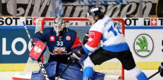Spielplan bestätigt: Red Bulls starten CHL-Reise mit zwei Auswärtsspielen