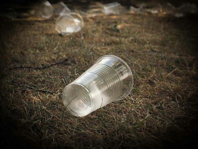 Einweg-Plastik wird verboten Teller, Besteck, To-go-Becher - Einweg-Plastik wird verboten