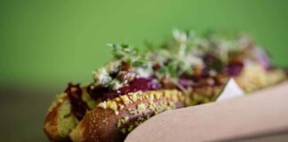 Food Trailer "Green Hotdog on the Road" bis 25.07. auf dem Tollwood Festival in München