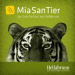 „Mia San Tier – der Zoopodcast aus Hellabrunn“ feiert 100.000 Abrufe