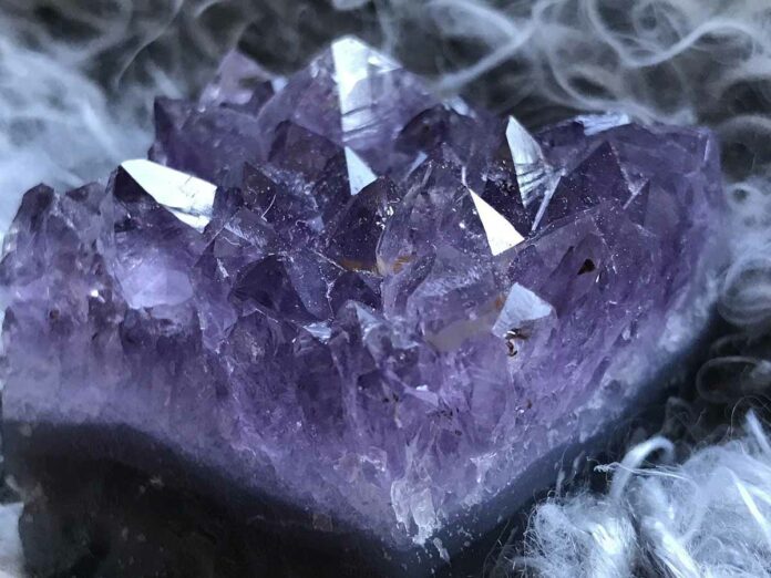 Die größte europäische Messe für Naturschätze The Munich Show ist zurück