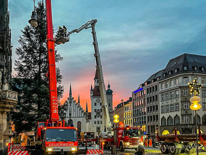 Der Münchner Christbaum 2021 Der Münchner Christbaum 2021