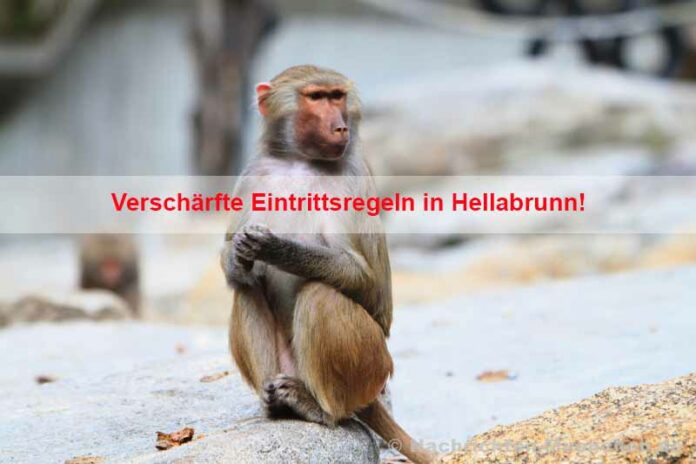 Verschärfte Eintrittsregeln in Hellabrunn