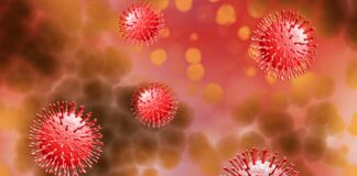 Pfizer und BioNTech beginnen klinische Studie zu Omikron-basiertem COVID-19-Impfstoff