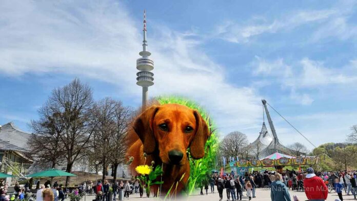 Ostern XXL im Olympiapark mit dem Dackel-Day