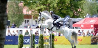 Pferd International München: Michael Viehweg fliegt zum Sieg