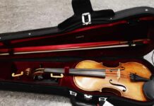 Eigentümer gesucht - Wertvolle Geige im Zug vergessen