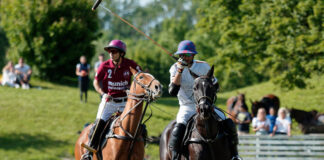 Pferd International München 2022: Polo