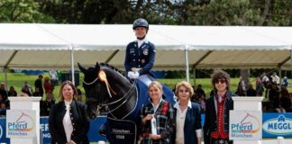 Preis der Liselott und Klaus Rheinberger Stiftung