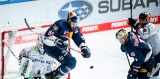 Red Bulls verlieren Finalserie gegen Berlin