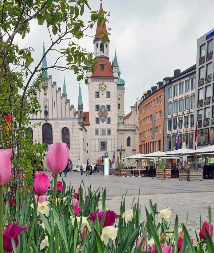 Der Sommer blüht in der Stadt