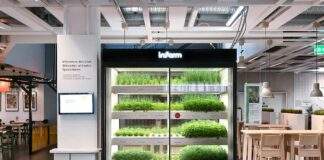 Urban Farming Projekt: IKEA und Infarm bauen gemeinsam nachhaltig Kräuter an