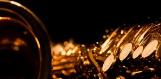 »Jazz Picnic« von ars musica e.V. vom 30.07. bis 31.07.2022 im Westpark Theatron