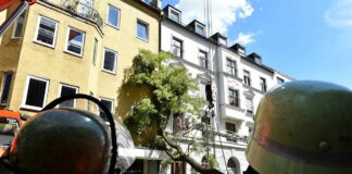 Glück gehabt - Baum fällt auf Feilitzschstraße