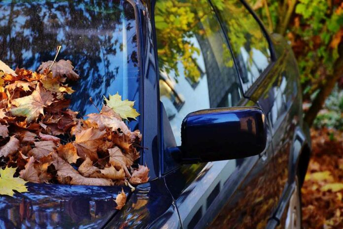 Mit Vorsicht durch den Herbst Mit Vorsicht durch den Herbst