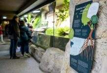Tierpark Hellabrunn nimmt am Aktionstag „Da sein für München“ teil
