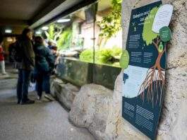 Tierpark Hellabrunn nimmt am Aktionstag „Da sein für München“ teil