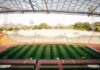 FC Bayern und TSV 1860 spielen am 23. Oktober im Olympiastadion