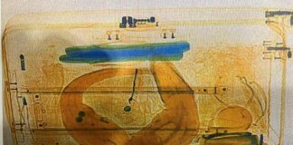 Flughafen München: Lebender Albino Alligator im Koffer beschlagnahmt