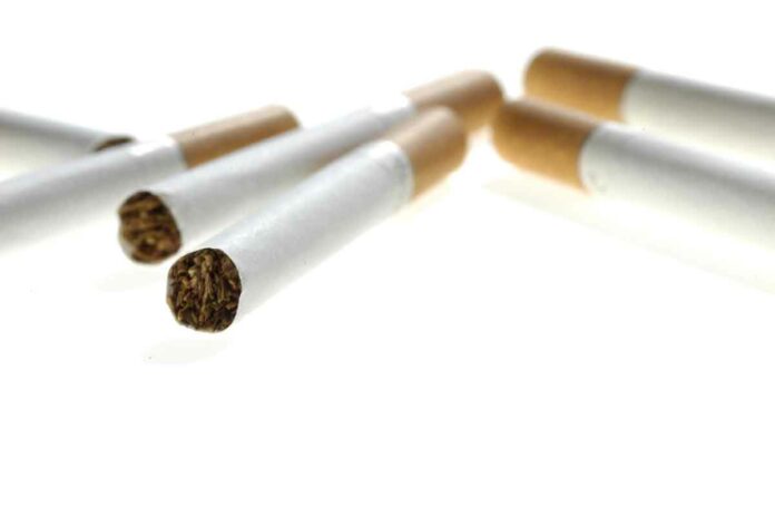 Zoll verhindert Zigarettenschmuggel
