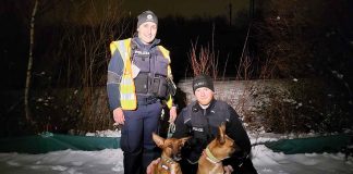 Sportleistung erfüllt - 1:07 Stunden – 4,45 Kilometer: Einfangen zweier Hunde fordert Beamten