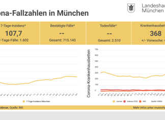 Update 20.2.: Entwicklung der Coronavirus-Fälle