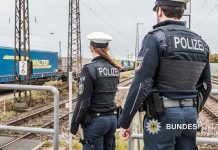 "Gleisläufer" bringt Regiobahn zum Stehen
