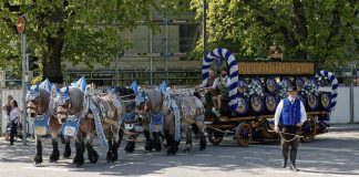 Münchner Frühlingsfest