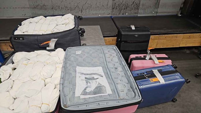 Flughafen München: Zoll beschlagnahmt knapp 150 Kilogramm Khat Flughafen München: Zoll beschlagnahmt knapp 150 Kilogramm Khat