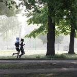 Gemeinsam sporteln: Fit-im-Park-Programm startet wieder