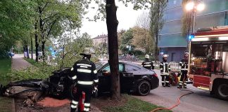 Pkw prallt gegen Bäume